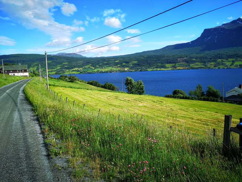 Utsikt mot vangsmjøsa