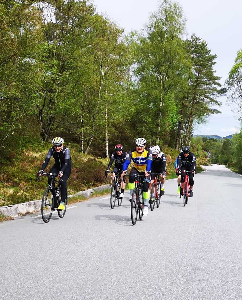 Skjelanger landevei
