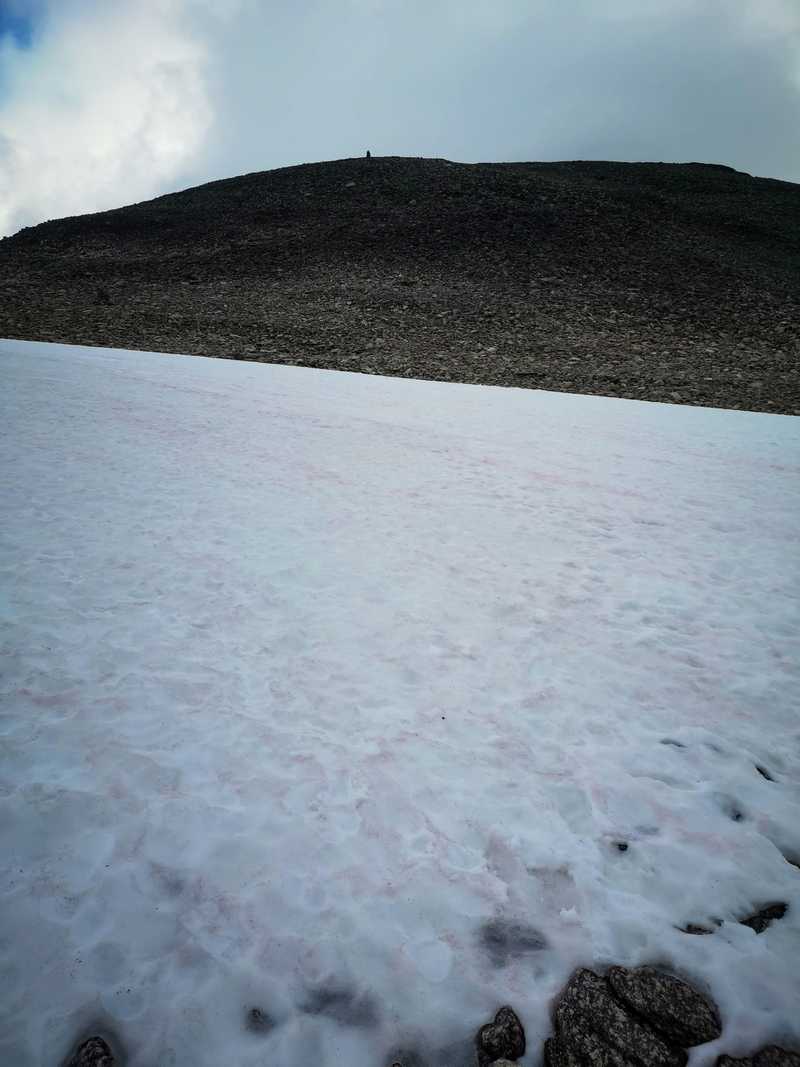 Snøfonn Skåla