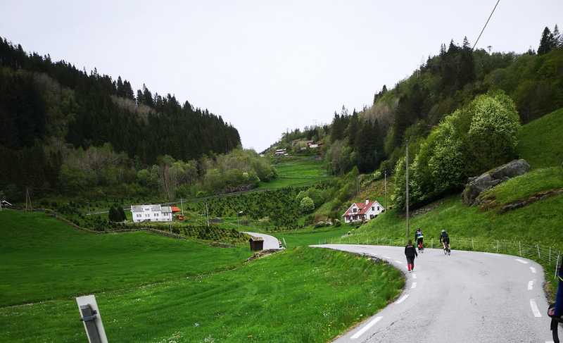 Skjelanger veier