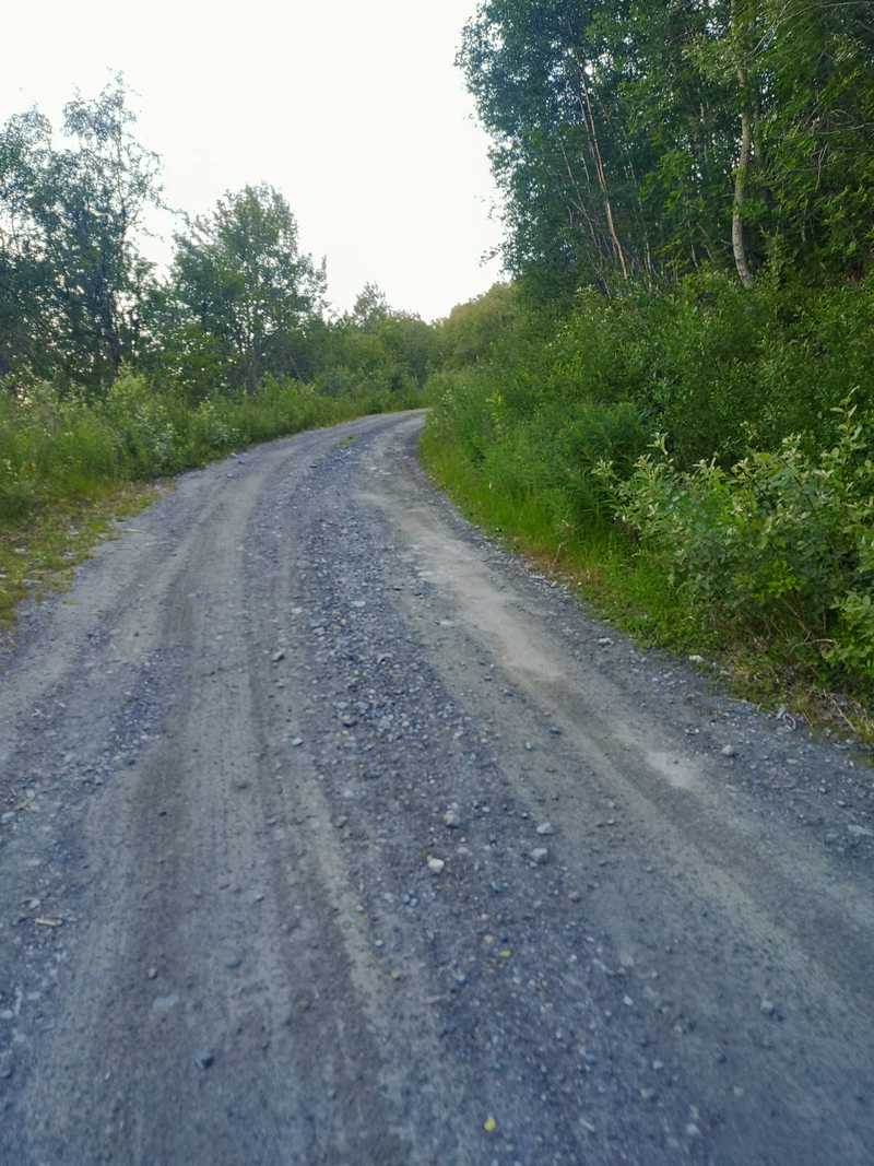 Veistandard på 1000 meter